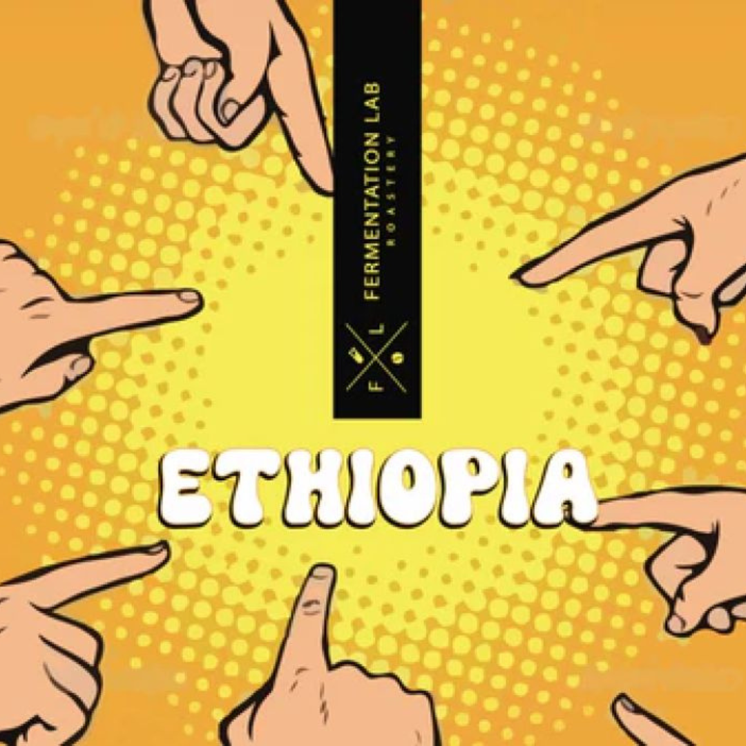 Fermentation Lab - Ethiopia Bashayer - Filter Roast 250g