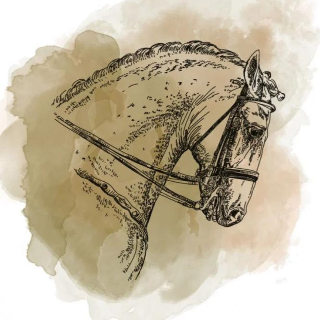 The Coffee Factory - Colombia Arrogate - Omni Roast 250g