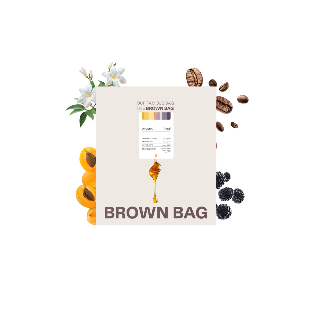 Brown Bag Ethiopia Aromia omni roast specialty coffee beans by Not Just Beans ☕