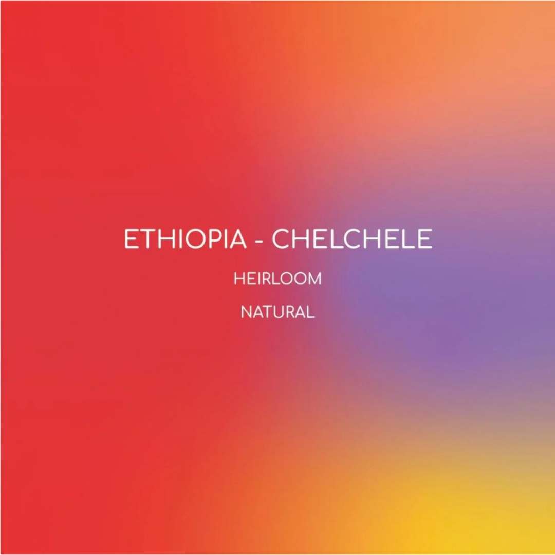 Inlight - Ethiopia Chelchele - Omni Roast 250g