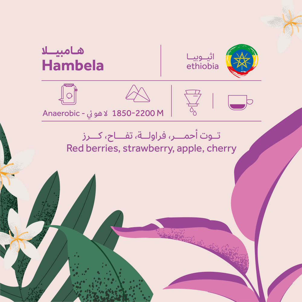 Breehant - Ethiopia Hambela - Omni Roast 250g