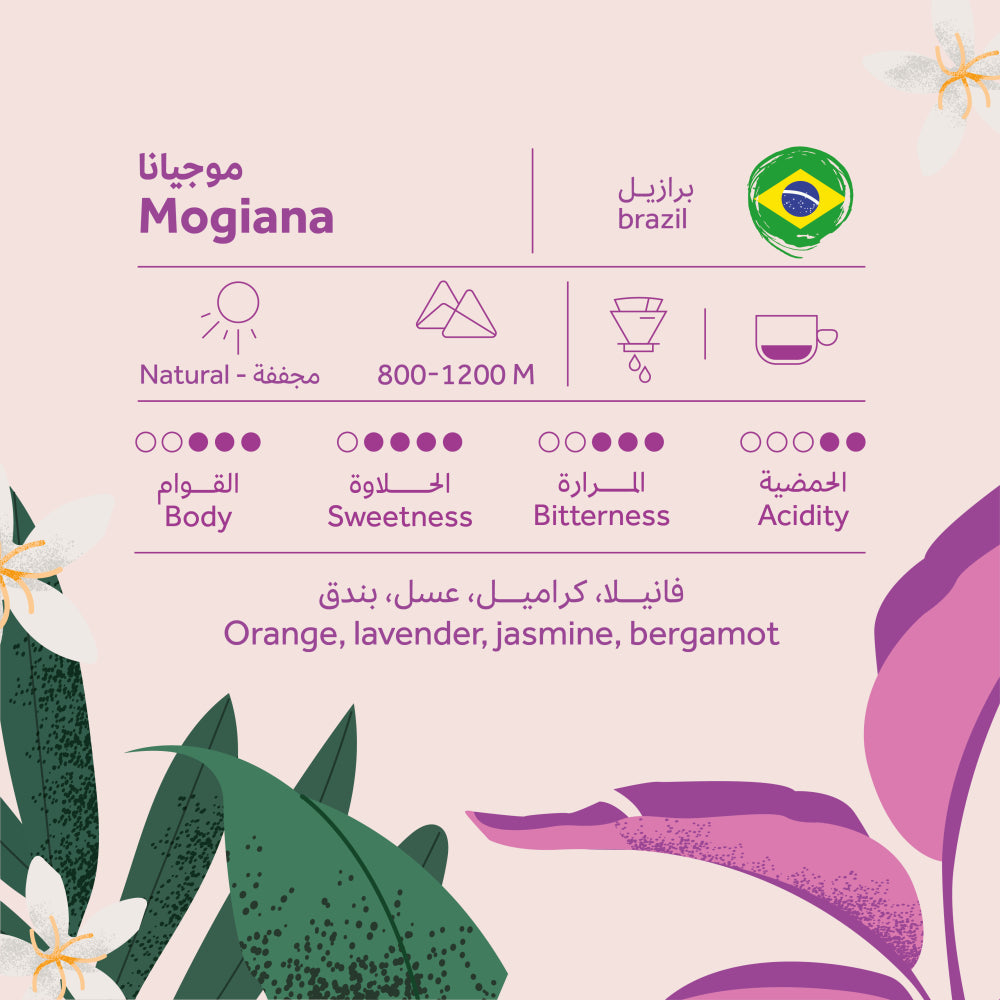 Breehant - Brazil Mogiana - Omni Roast 250g