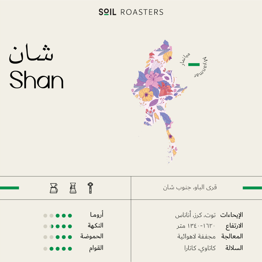 Soil Shan Myanmar omni roast specialty coffee beans by Not Just Beans ☕