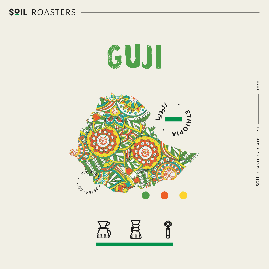 Soil Ethiopia Guji omni roast specialty coffee beans by Not Just Beans ☕