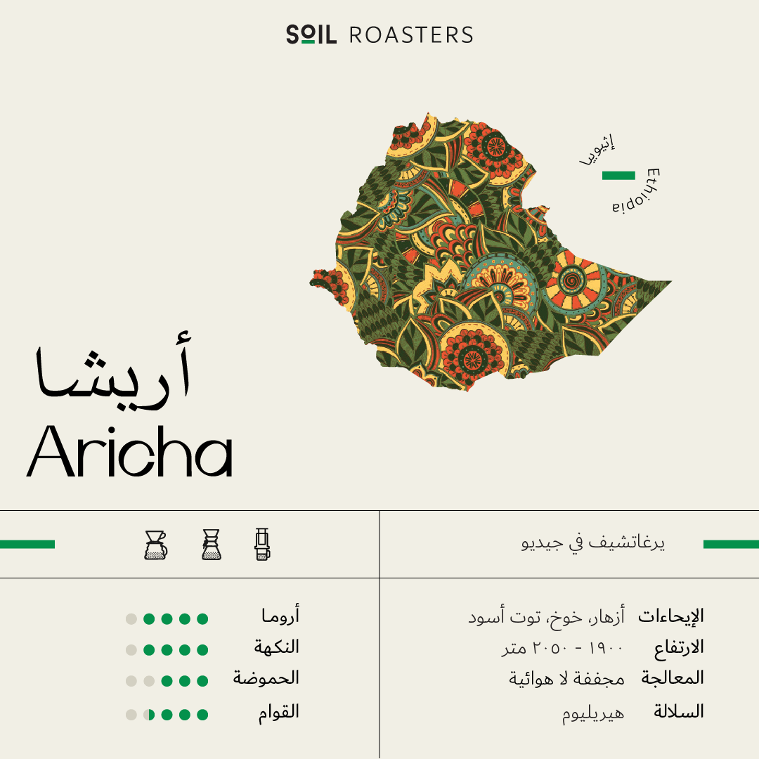 Soil - Ethiopia Aricha - Omni Roast 250g