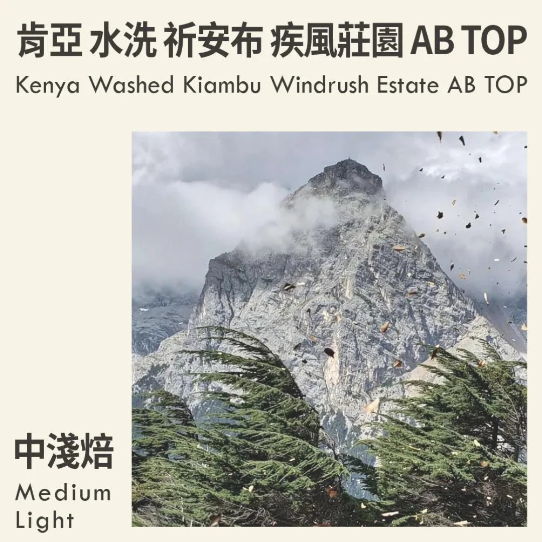 KakaLove - Kenya Kiambu Windrush Estate AB TOP - Filter Roast 226g