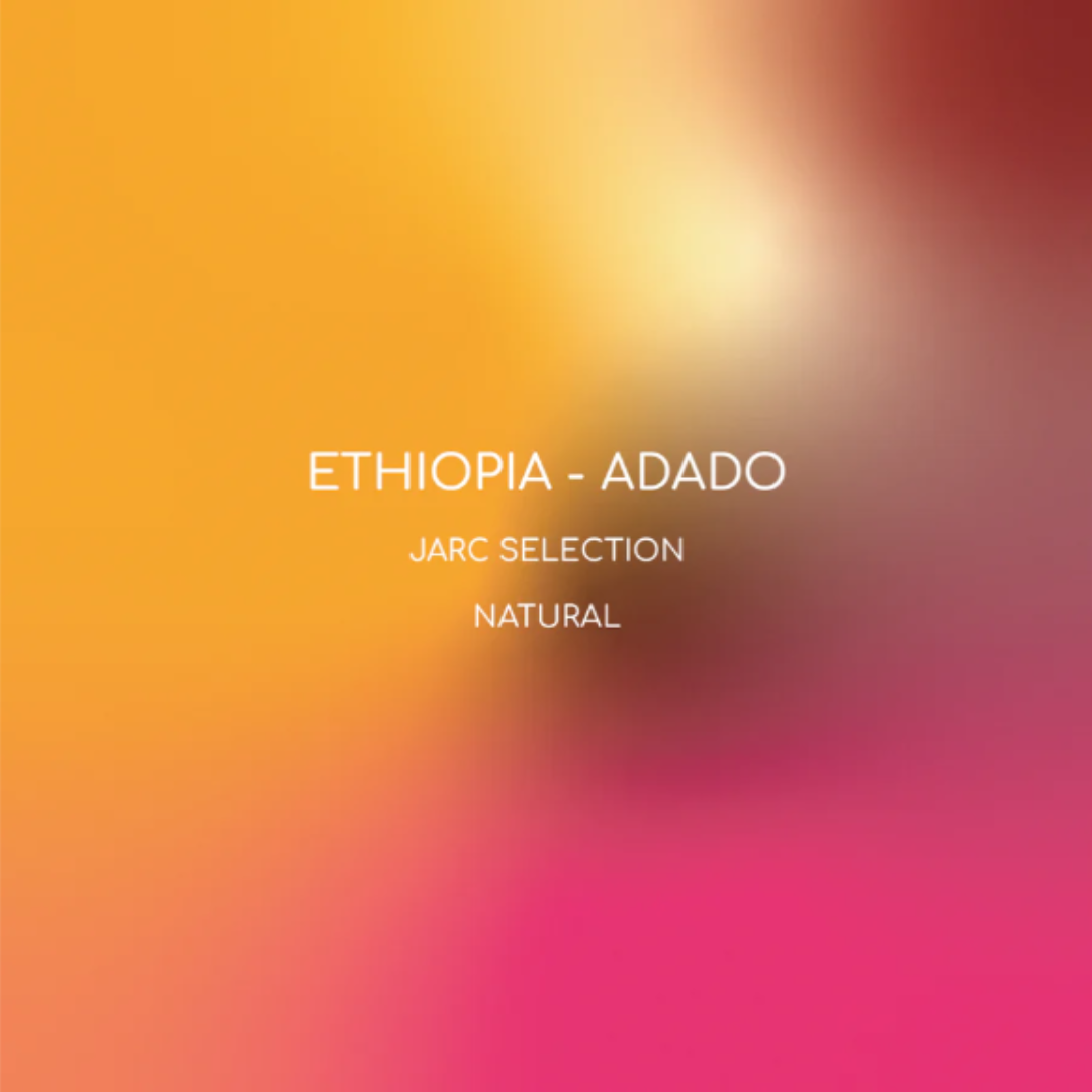 Inlight - Ethiopia Adado - Omni Roast 250g