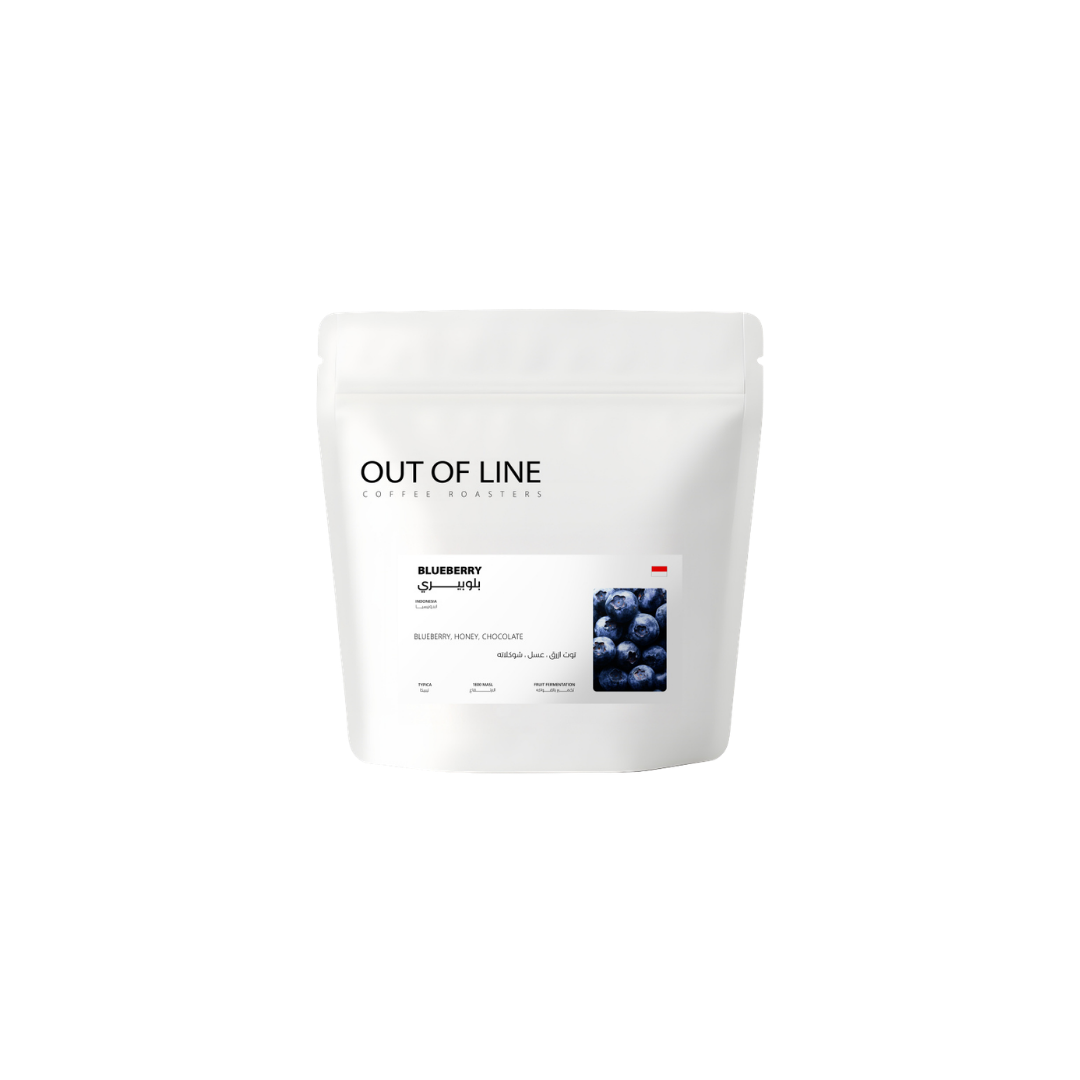 Out of Line - Indonesia Blue Berry - Omni Roast 125g