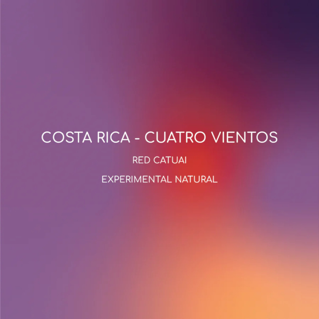 Inlight - Costa Rica Cuatro Veintos (Luxurious) - Filter Roast 250g