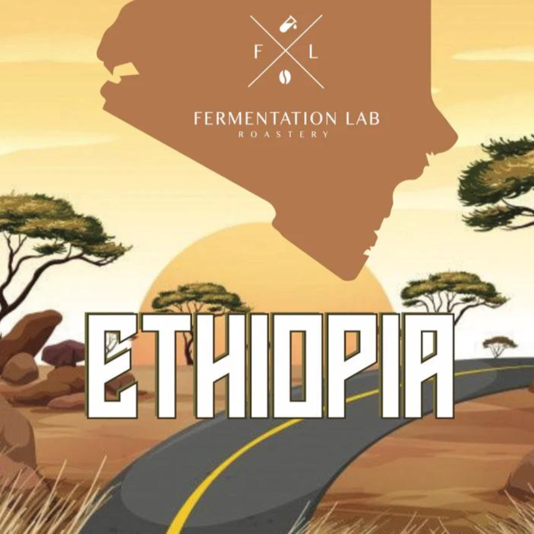 Fermentation Lab - Ethiopia Guji - Filter Roast 250g