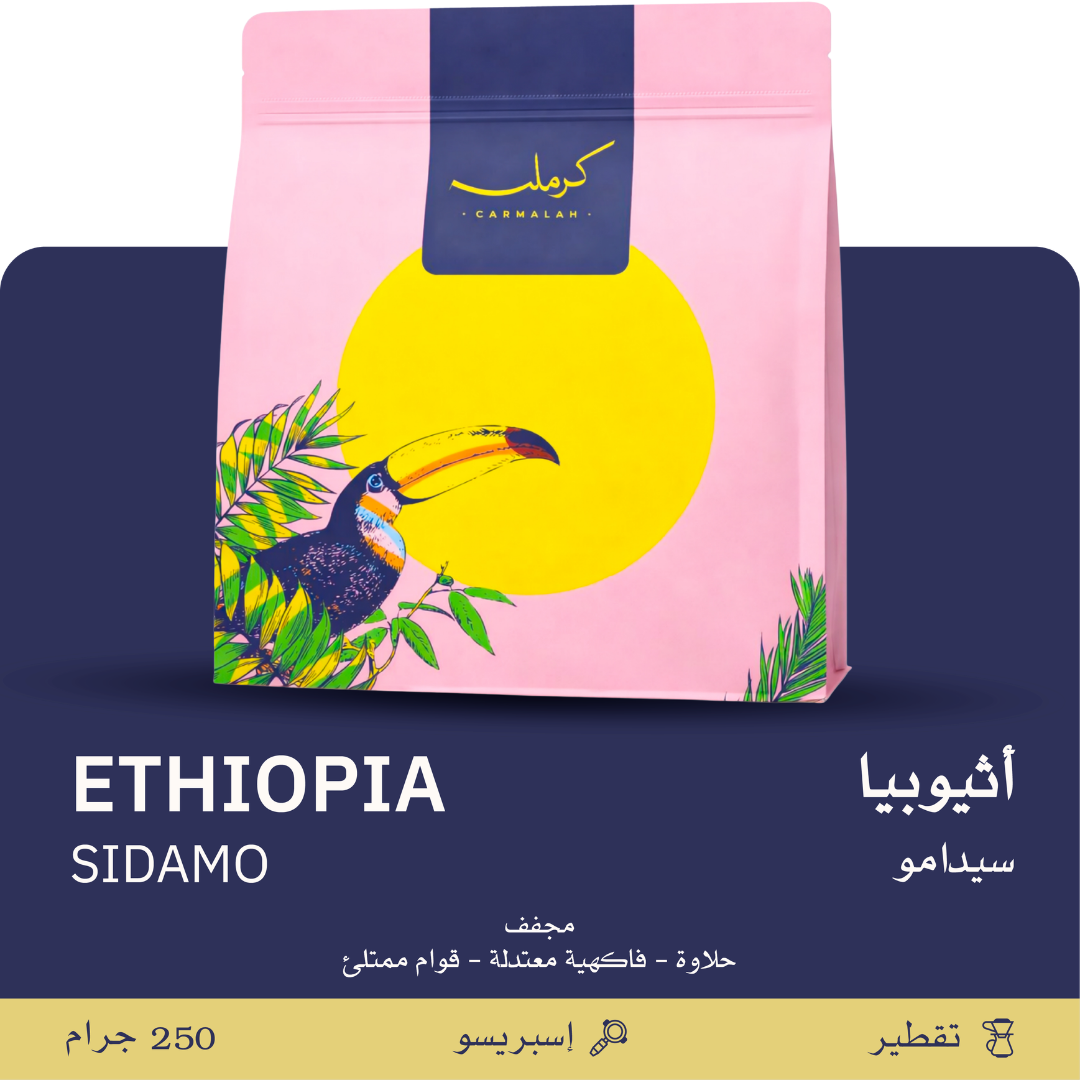 Carmalah - Ethiopia Sidamo - Omni Roast 250g