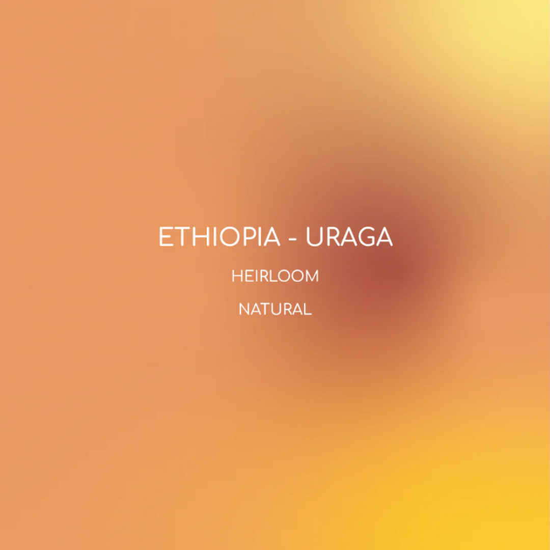 Inlight - Ethiopia Uraga - Omni Roast 250g