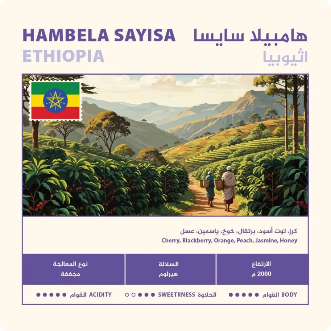 Nahj - Ethiopia Hambella Saysa - Omni Roast 250g