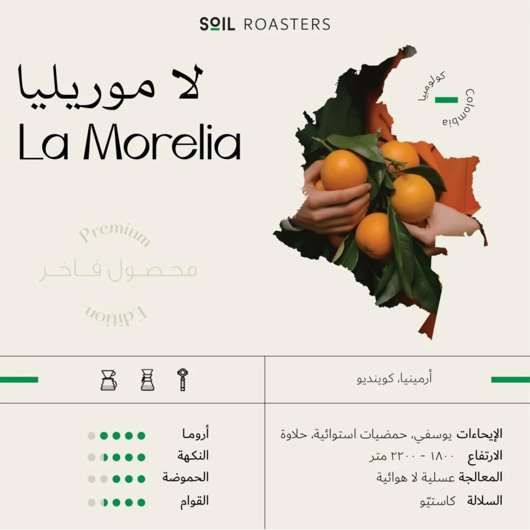 Soil - Colombia La Moreila