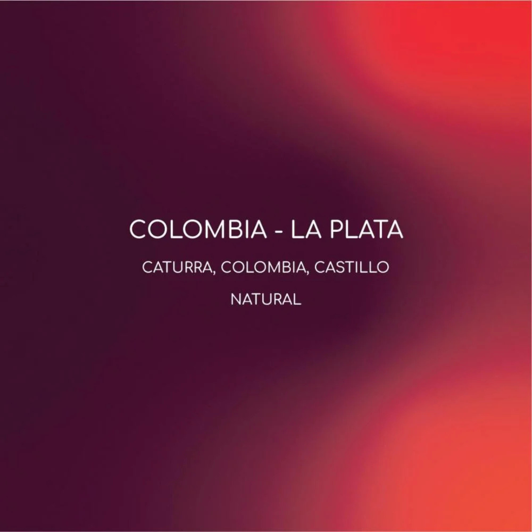 Inlight - Colombia La Plata - Omni Roast 250g