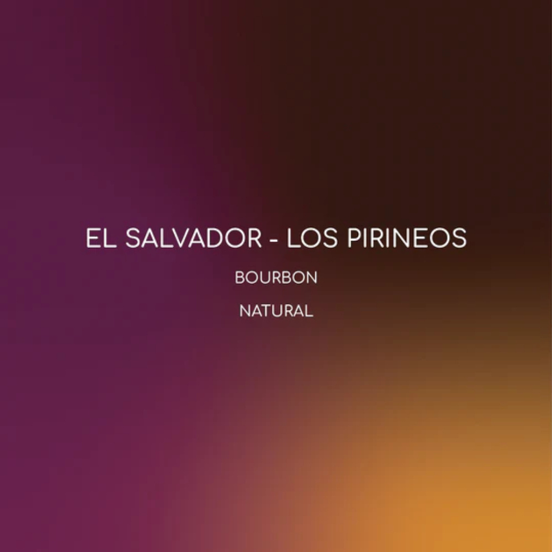 Inlight - ElSalvador Los Pirineos - Omni Roast 250g