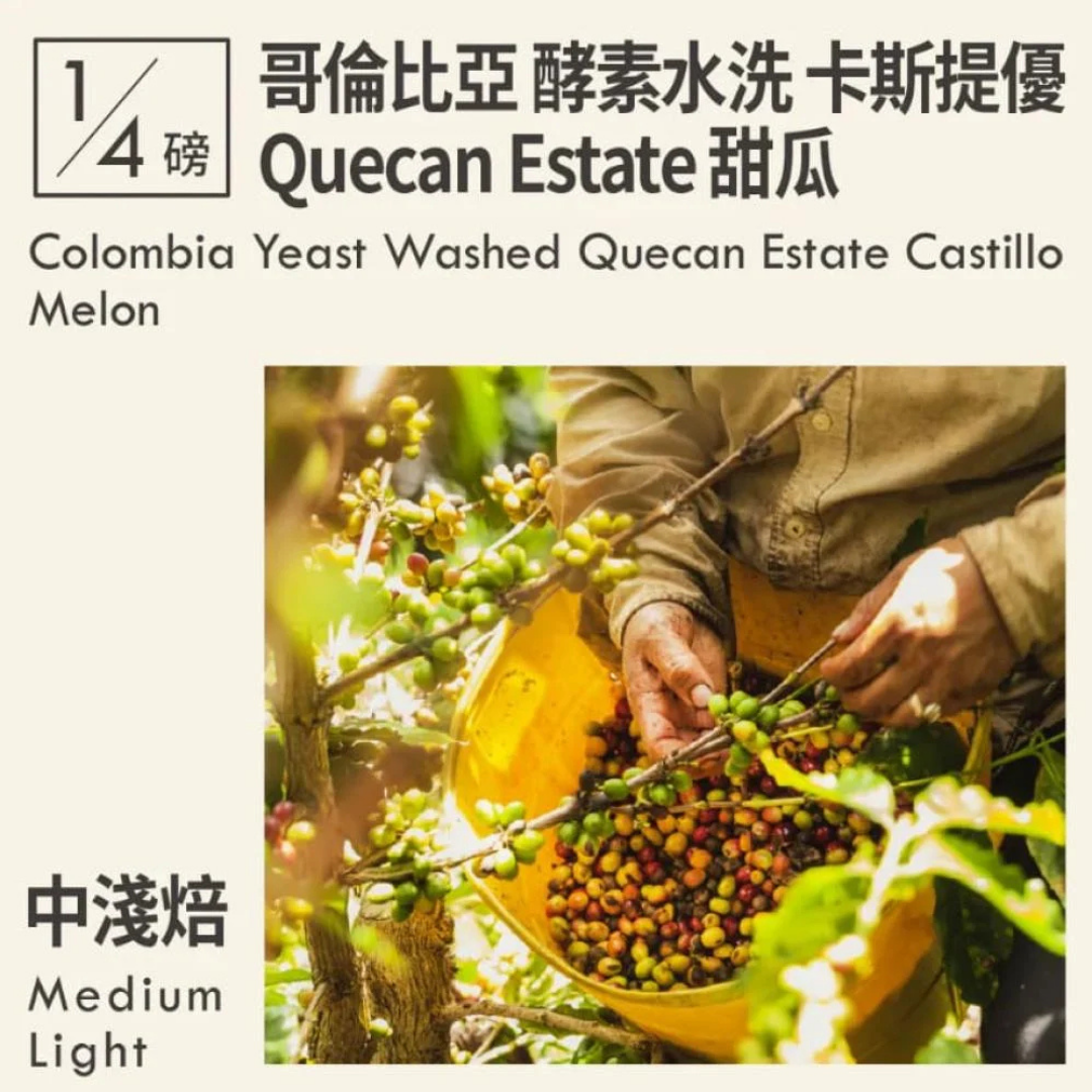 KakaLove - Colombia Quecan Estate (Luxurious) - Filter Roast 113g
