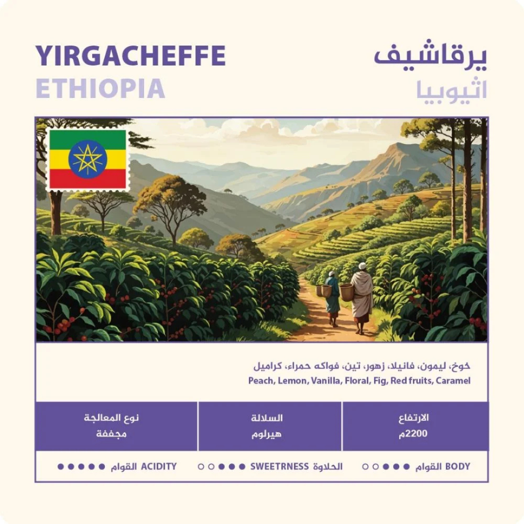 Nahj - Ethopia Yirgacheffe - Omni Roast 250g